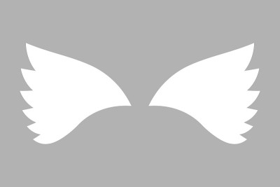 矢量翼插图平面设计