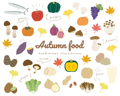 Set of hand drawn illustrations of autumn foods