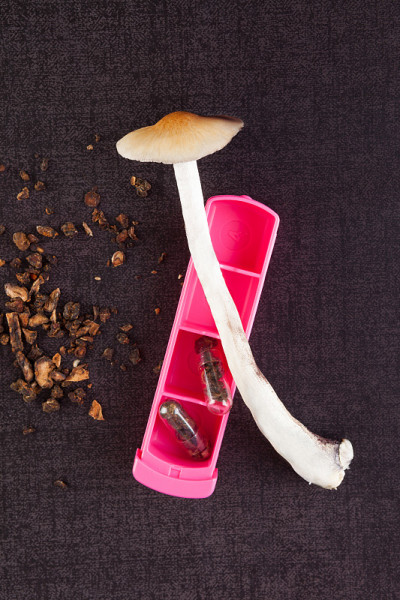 新鲜和干燥的魔法蘑菇