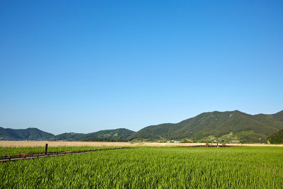 Suncheonman湾