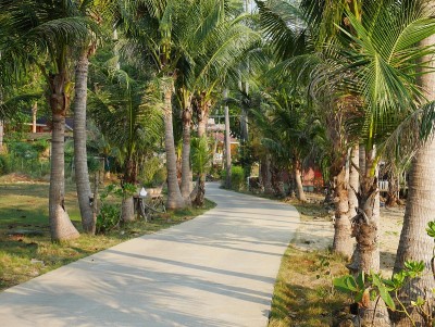 隐蔽的路
