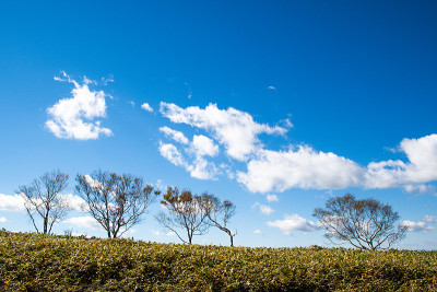 日本北海道，日本北海道