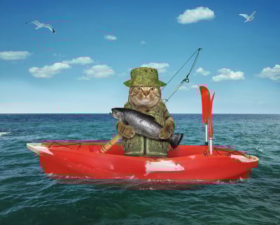 猫渔民在一条红船上漂流