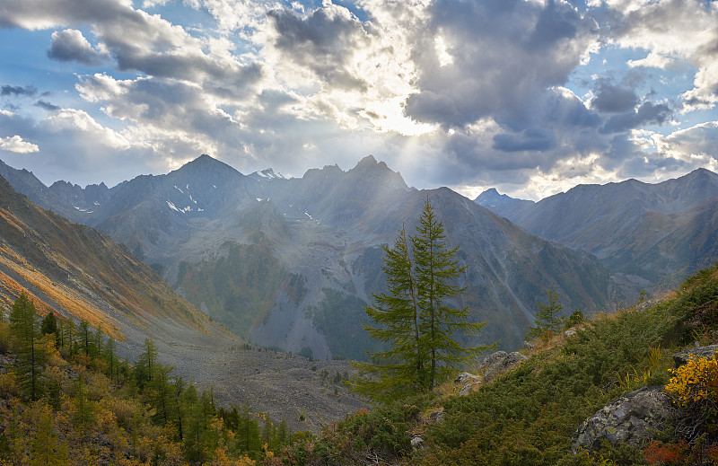 美丽的秋景，阿尔泰山俄。