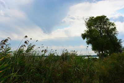 美丽的萨马拉河风景如画的陡峭的河岸和海岸，树木，绿色植物和丰富的天空。明亮而令人难忘的自然，舍普琴科