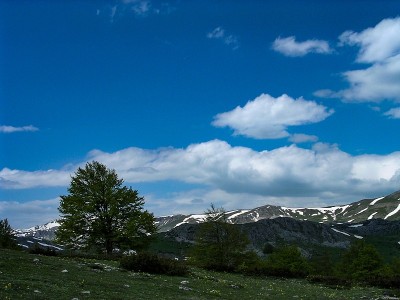 马其顿山景城