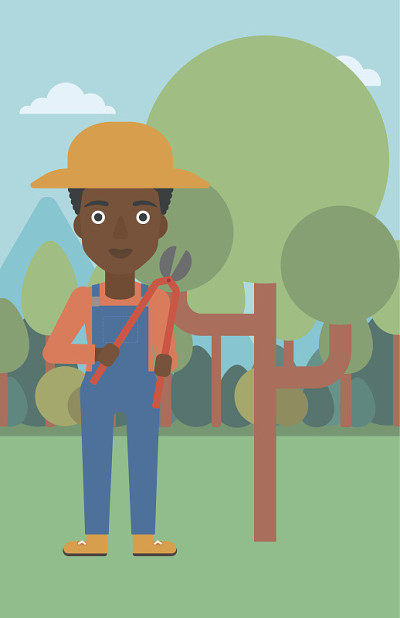 Farmer with pruner in garden