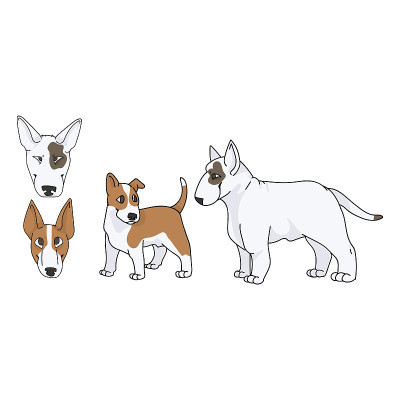 可爱的卡通牛头犬品种矢量clipart。纯种犬舍展示狗爱好者。纯种家养犬宠物客厅插图。孤立的狗幼犬，