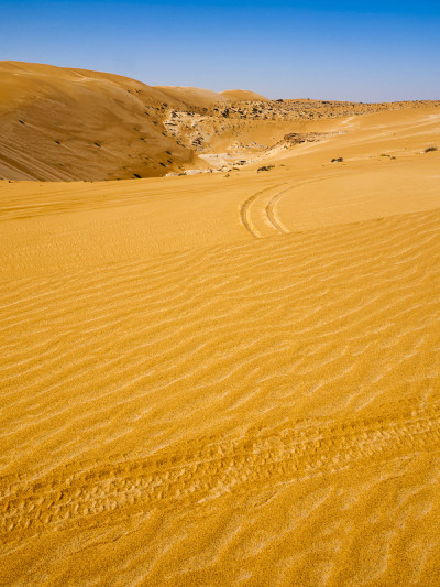 wahiba