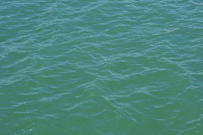海水