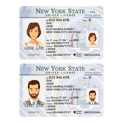 Vector template of sample driver license plastic c