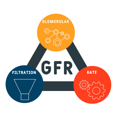 肾小球滤过率(GFR)
