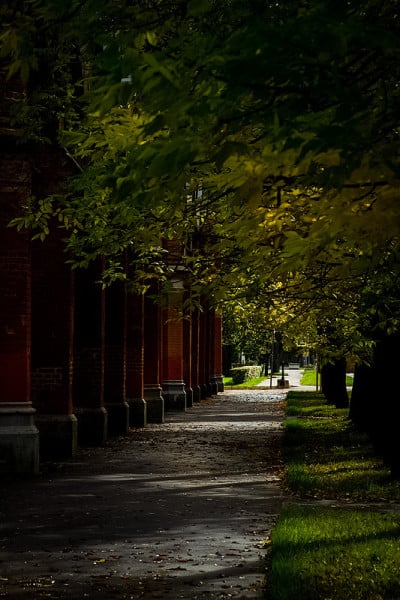 建筑Petergof