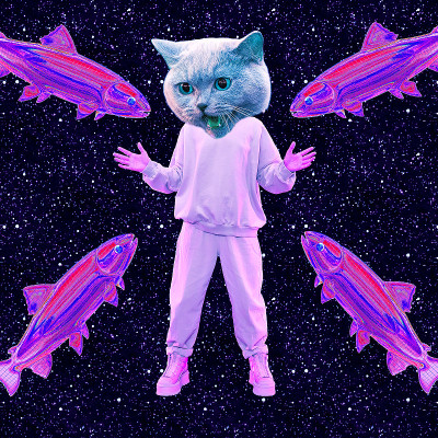 最小当代拼贴艺术。人的身体以猫的头为头。攻击性、自私、愤怒的情绪观念。时髦的宇宙空间。