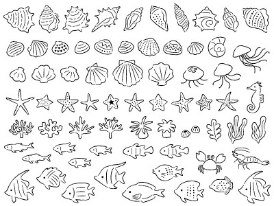 手绘风格线条插图一套各种海洋生物