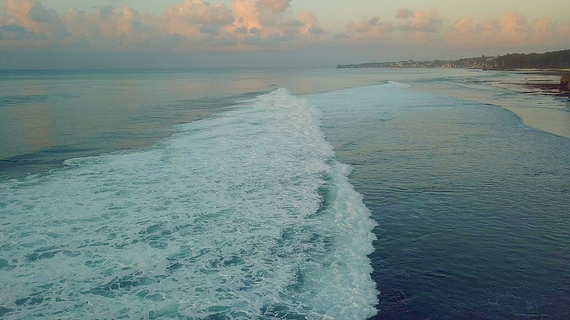 海里的冲浪者