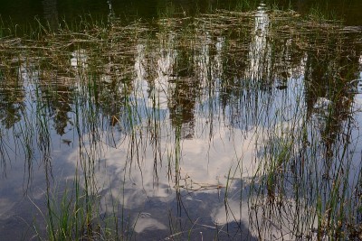 拉森国家公园的夏季景色