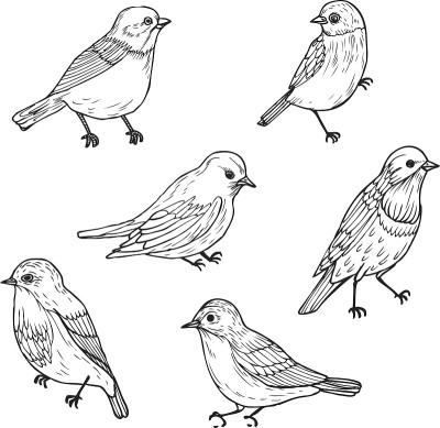 一套线形鸟画
