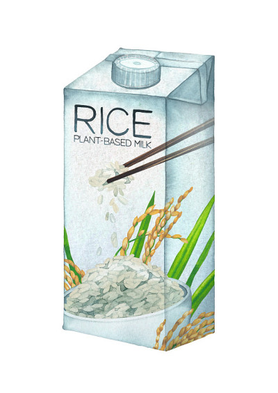 水彩纸盒以植物为基础，在白色背景上分离出米浆