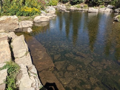 布雷肯里奇镇溪流2