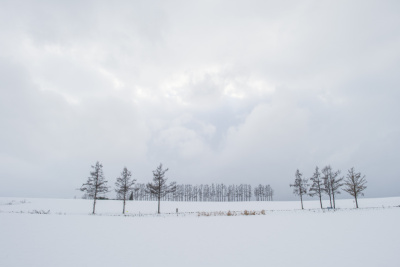 雪景