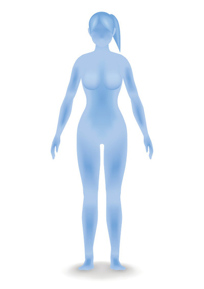 女人的身体轮廓，矢量插图