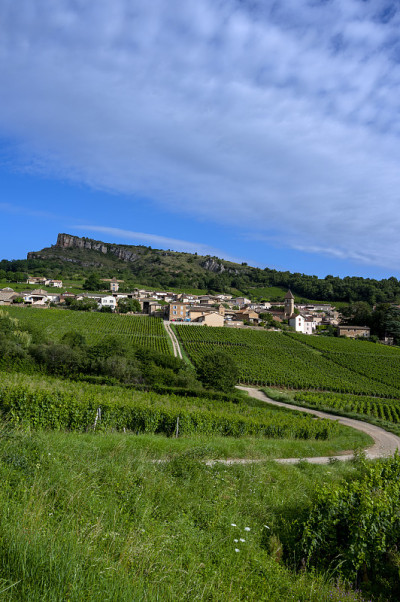 位于勃艮第Mâconnais葡萄园的Solutré-Pouilly村，位于La Roche de S