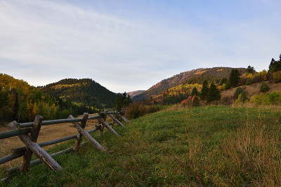 山