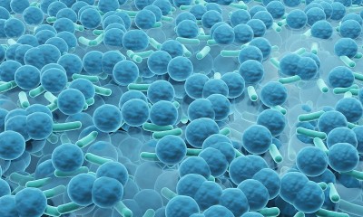 生物膜表面，耐药菌培养三维图