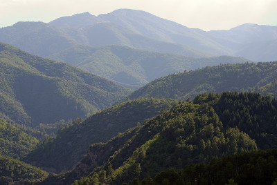 塞文内斯山