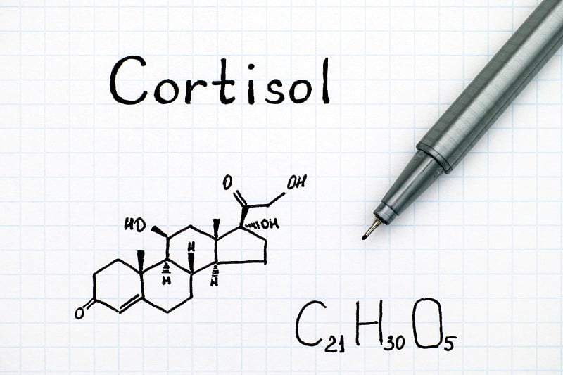 用黑色笔画出皮质醇的化学式。