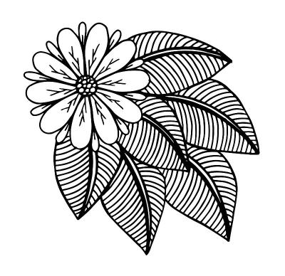 手绘花涂鸦背景-插图花，正式花园，绘画图像，单花，着色书