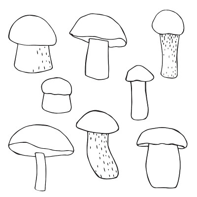矢量插图。蘑菇涂鸦。