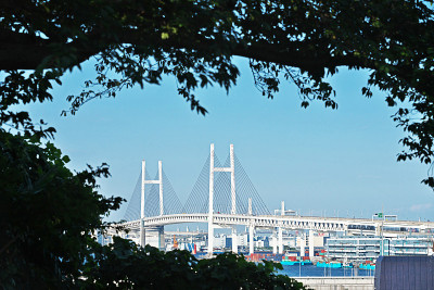 从横滨港的公园山