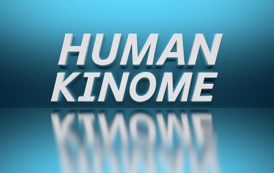 文字人类Kinome在粗体白色字母在蓝色背景