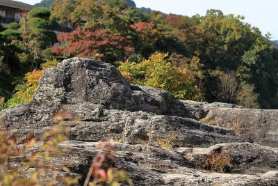 日本埼玉县永太郎的岩层