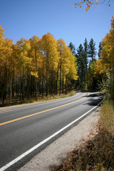 CurvedRoad