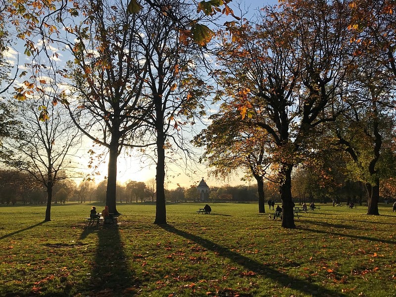 Lights_and_shadows_in_the_park