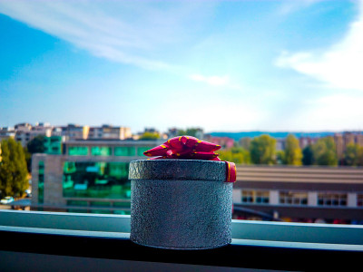 小礼物
