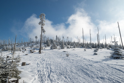 巴伐利亚森林里的德雷塞尔雪山