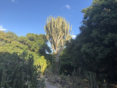 玻利维亚圣克鲁斯德拉谢拉。
