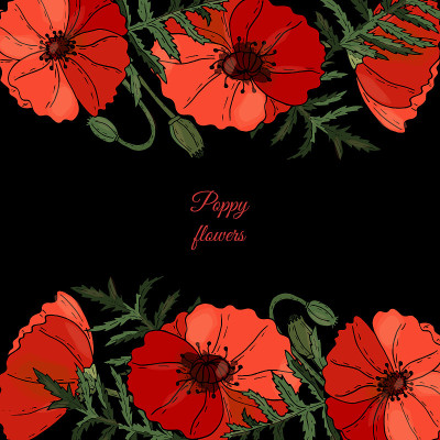 Floral frame with Poppy flowers, buds and leaves o