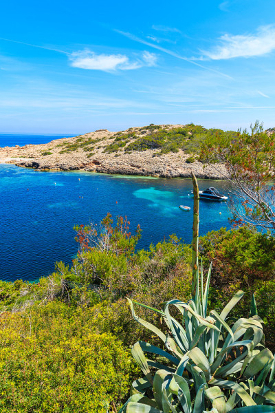 西班牙，伊比沙岛，Cala Portinatx海湾，海岸边生长着龙舌兰植物和海上的船只