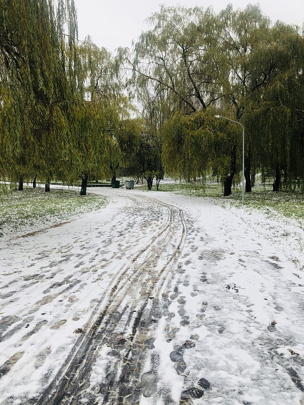 初雪中有鞋印