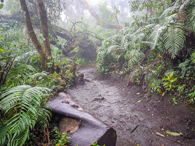 危地马拉阿卡特南戈火山徒步路线