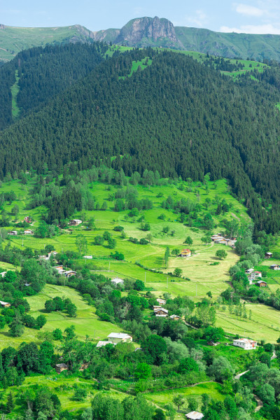 土耳其阿尔特文夏季山地高原