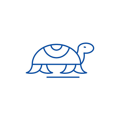 Turtle in motion line icon concept. Turtle in moti