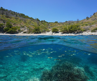 西班牙地中海沿岸，水下有鱼