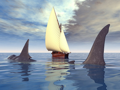 Megalodon鲨鱼