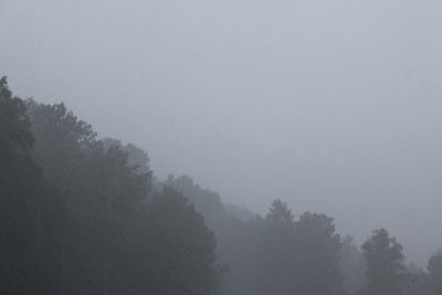 多雾的森林在下雨的天气条件下